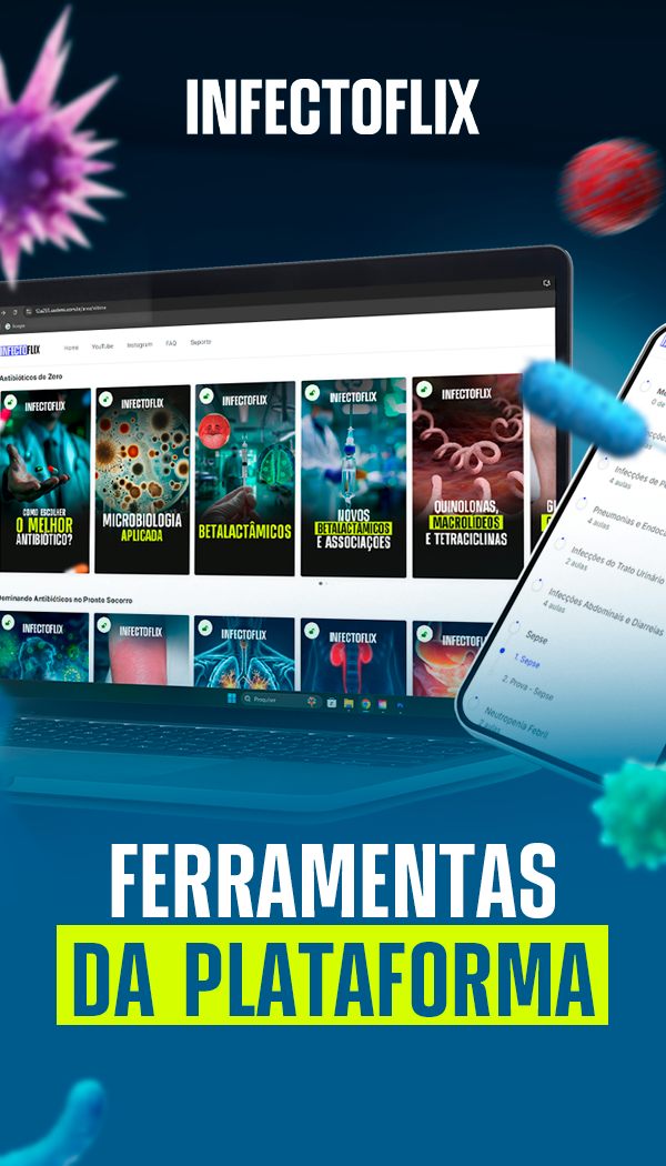 Tela do projeto Infectoflix