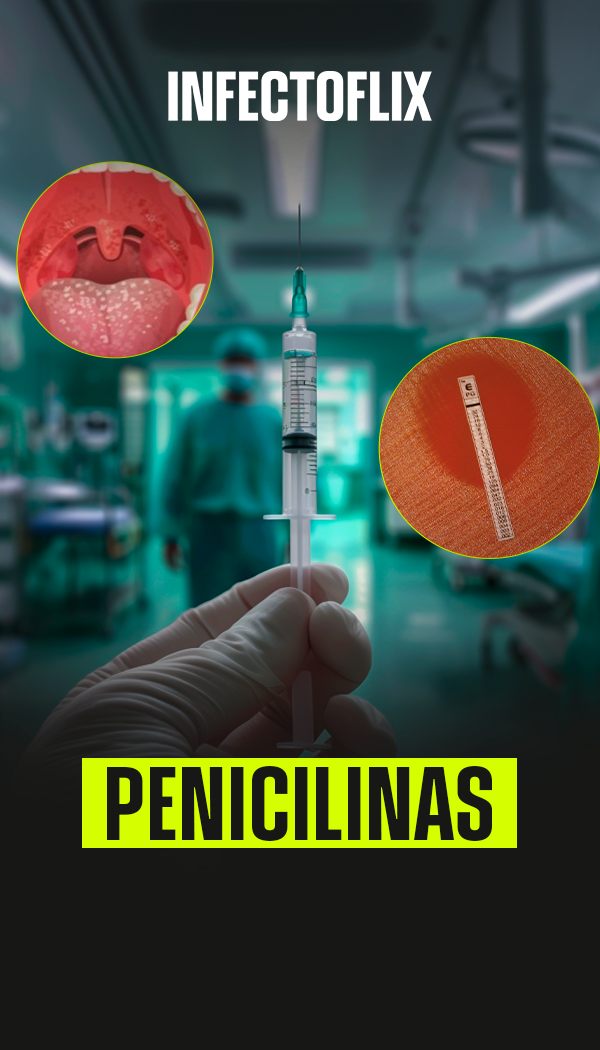 Tela do projeto Infectoflix