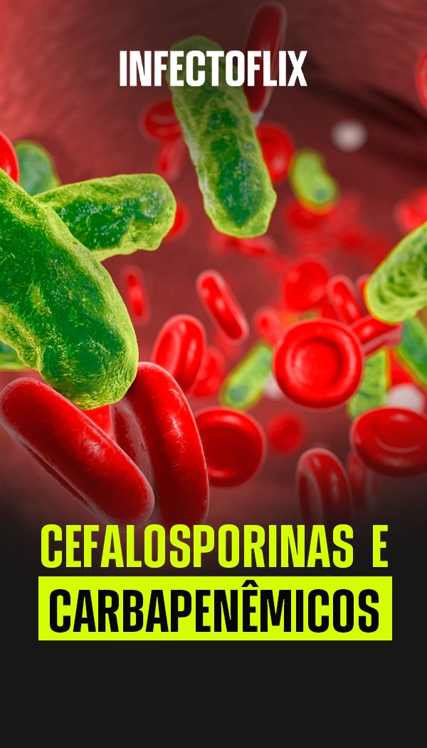Tela do projeto Infectoflix