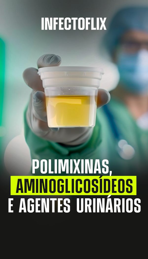 Tela do projeto Infectoflix