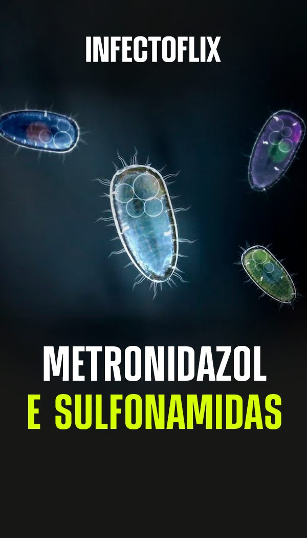Tela do projeto Infectoflix