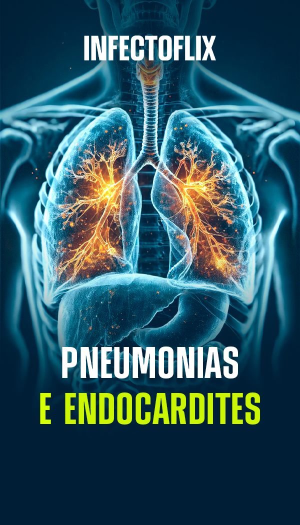 Tela do projeto Infectoflix